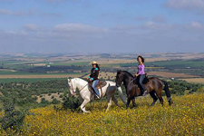 Spain-Southern Spain-Hacienda Buena Suerte